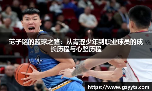 必一运动b-sports平台