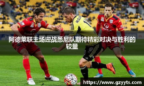 必一运动b-sports
