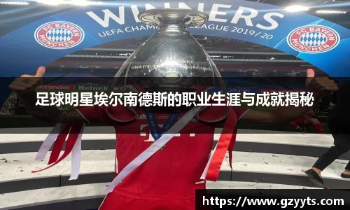 足球明星埃尔南德斯的职业生涯与成就揭秘